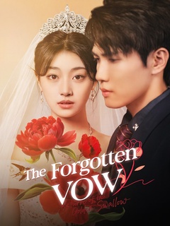 The Forgotten Vow poster
