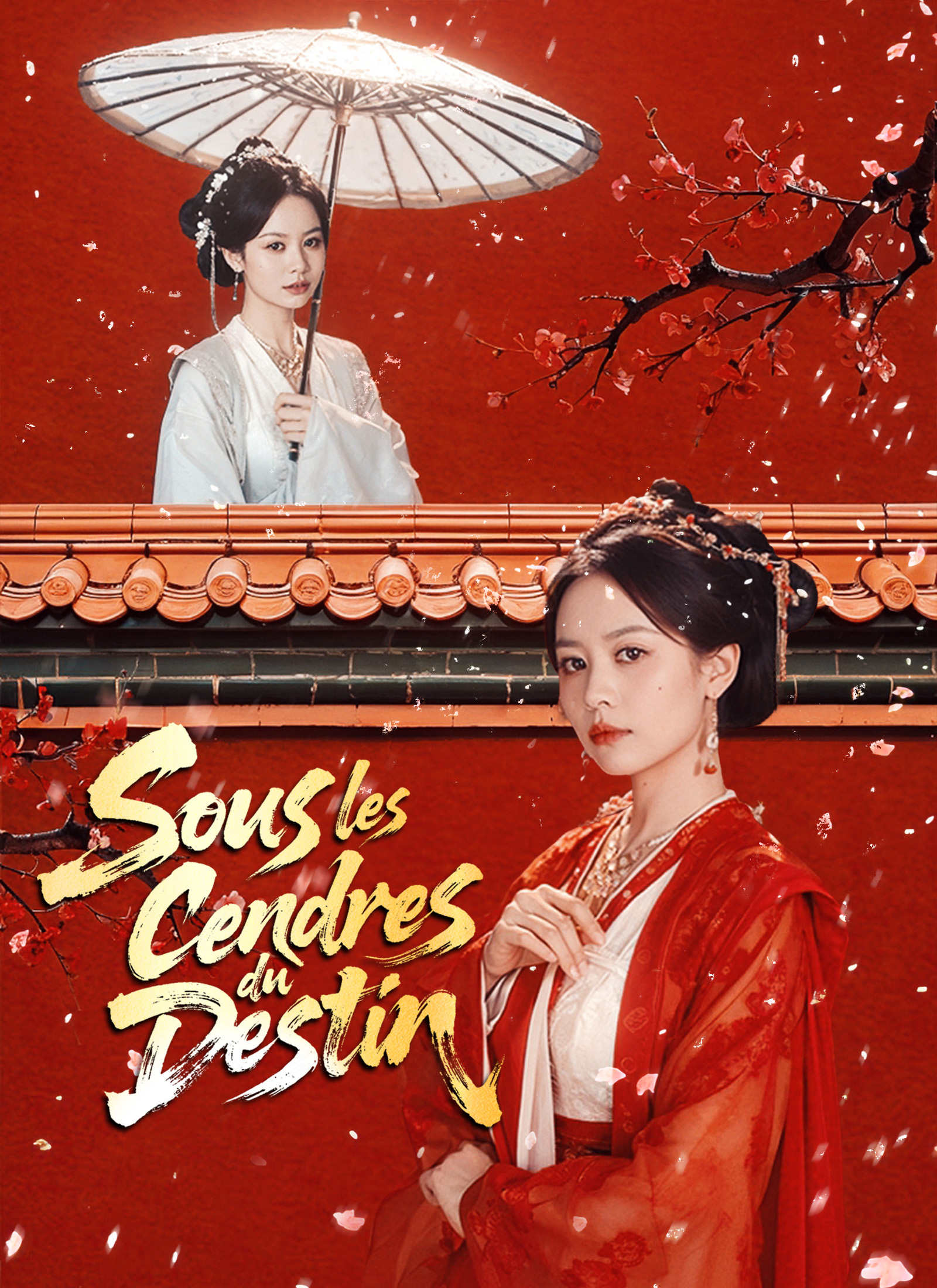 Couverture de Sous les Cendres du Destin