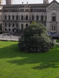 Episode 14 - Call Me Love, Professor