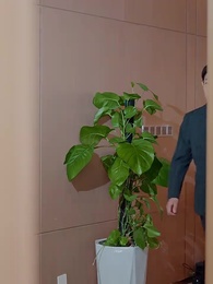 ตอนที่ 38 - ประธานใหญ่หัวใจรักชาติ