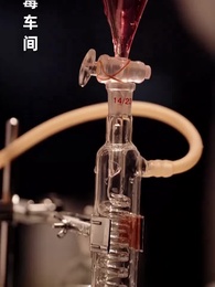 第34集 - 笑面神探