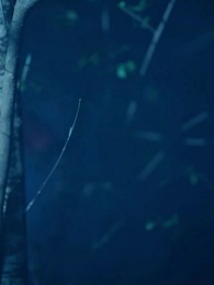 Episodio 11 - Una promesa de amor