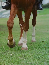 Épisode 7 - Stagiaire par Foi, Patronne par Droit