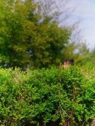 Be Good to me, Ghost - Episode 29