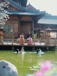 Episode 7 - Gefährliche Sehnsucht