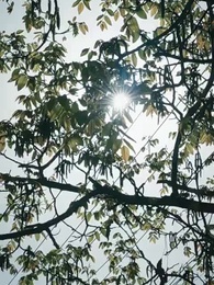 Episodio 2 - Quando una Dea Bussa alla Porta