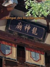 Episode 20 - Die Suche nach der Drachenkönigin