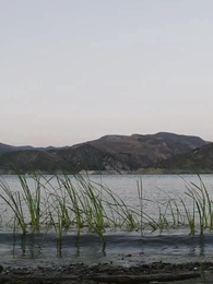 Episode 1 - [Synchro]Zähne und Krallen stehen total auf mich.