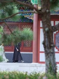 第12話 - 美人の刃、愛か謀略か