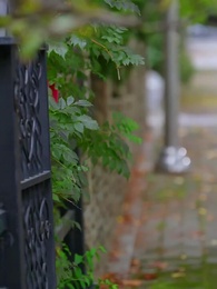 The Matchmaker’s Secret Romance - Episode 40