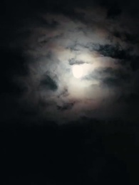 Bölüm 21 - Taht İçin Yükseliş