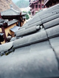 Episódio 10 - [Dublado]Alma Dedicada, Coração Quebrado