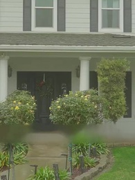 第36話 - [吹替]番から始まる愛