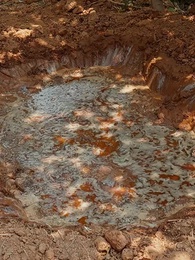 第10話 - 小さき福運びの子