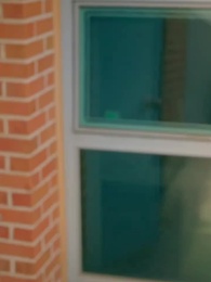 49화 - 앗, 고백을 까먹었다