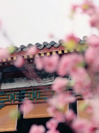 เล่ห์ลวงชิงบัลลังก์ - Episode 1