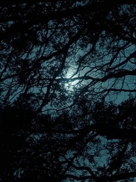 [吹替]番から始まる愛 - Episode 90