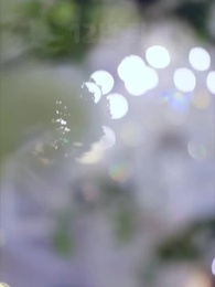 50화 - 앗, 고백을 까먹었다