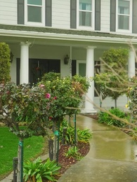 [吹替]番から始まる愛 - Episode 85