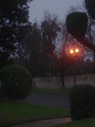 第44話 - [吹替]番から始まる愛