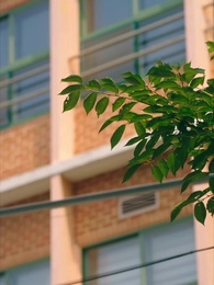 앗, 고백을 까먹었다 - Episode 8