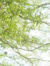 第1話 - [吹替]番から始まる愛