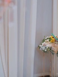 第28話 - 記憶の花びら ~青葉村の約束~