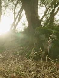 [吹替]番から始まる愛 - Episode 45