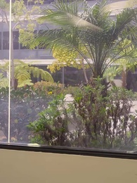 Cô Dâu Báo Thù - Episode 65