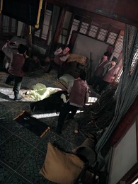 猶有花枝俏 - Episode 37