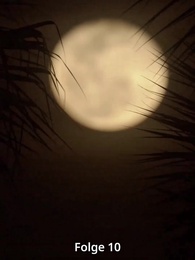 Episode 10 - [Synchro]Im Augenblicke der Erleuchtung