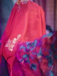 Episode 40 - The Prince's Wild Rose