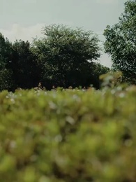 ตอนที่ 43 - สายสัมพันธ์สื่อรัก