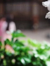 Reborn to Shine: Beloved by My Stepsisters - Episode 34