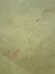 Episódio 19 - [Dublado]Lâmina Perdida