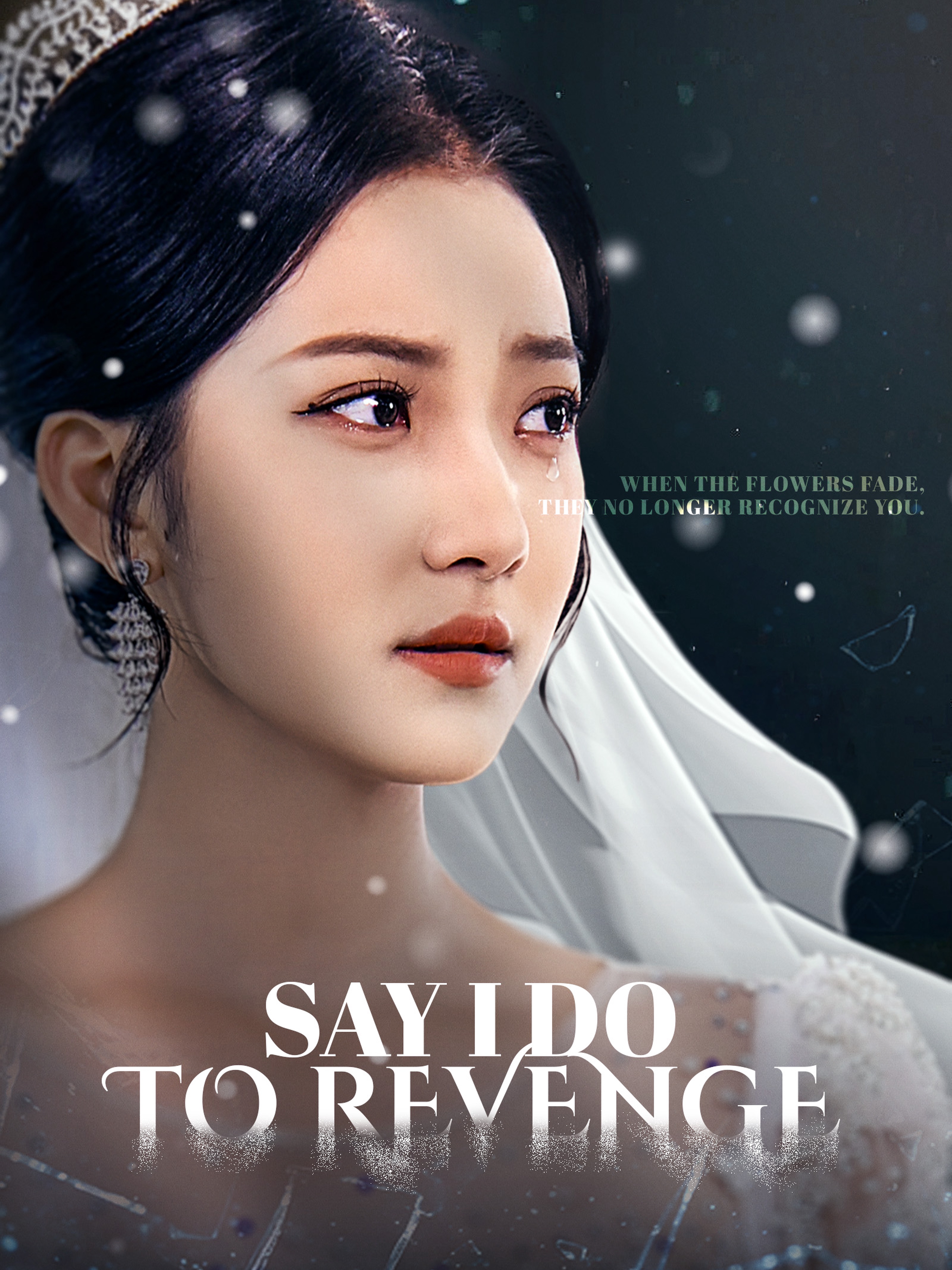Say I Do to Revenge (Dubbed)