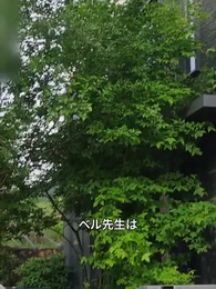 第27話 - [吹替]言えないほどの愛ならば