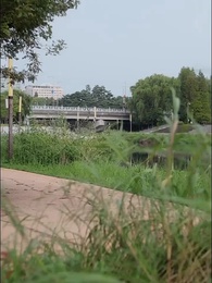 Love as the Price of Treachery - Episode 38