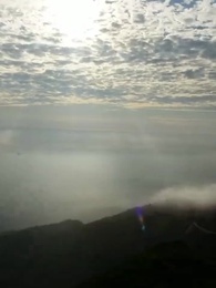 Episode 41 - The Misunderstood Matriarch