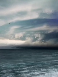 Episode 1 - Oops, I Led the Army