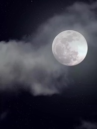 [Lồng tiếng]Cuộc Chiến Hậu Cung - Episode 16