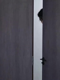 ตอนที่ 9 - ถอนหมั้น ล้างหนี้แค้น