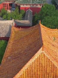 Tập 49 - [Lồng tiếng]Cuộc Chiến Hậu Cung