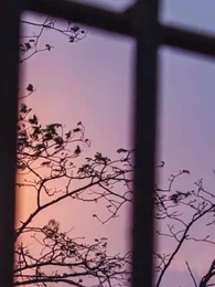 ตอนที่ 27 - สงครามนักไลฟ์