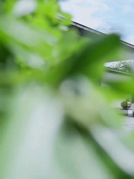 運命を斬る者 - Episode 28