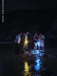 第35集 - 海島風波