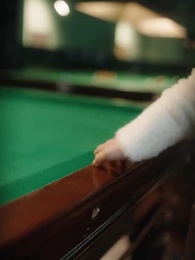 Episode 21 - Got My Ex's Ball in Hand