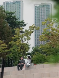 36화 - 배신의 대가로 사랑할게