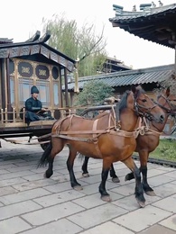 จอหงวนหวนคืนบ้านเกิด - Episode 40