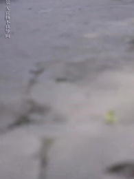 離離原上草 - Episode 58